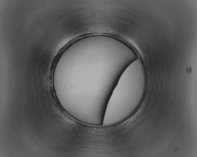 X0000091671071200708231008