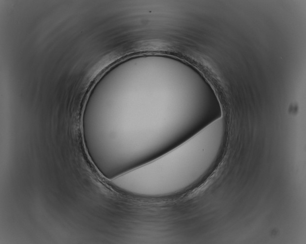 X0000091671073200708231008