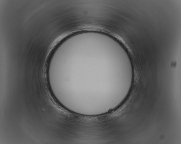 X0000091671074200708231008