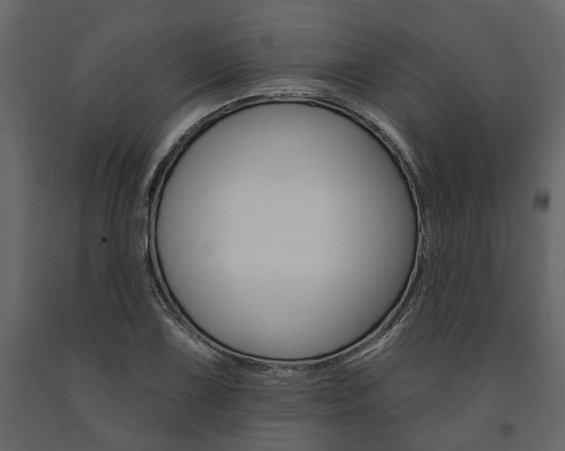 X0000091671075200708231008
