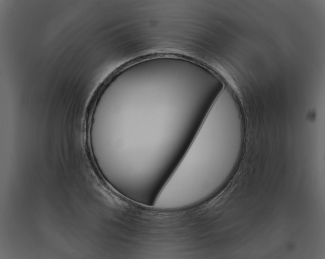 X0000091671076200708231008
