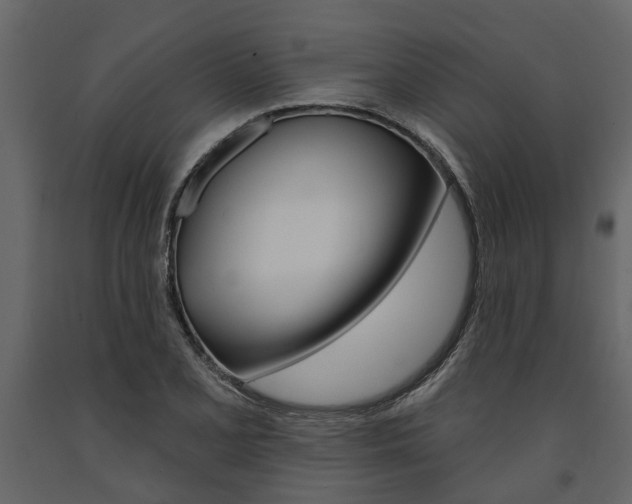X0000091671077200708231008