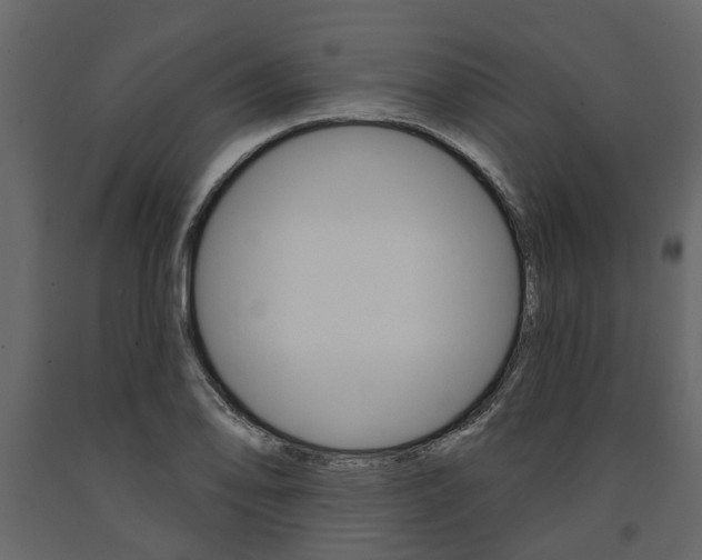 X0000091671078200708231008