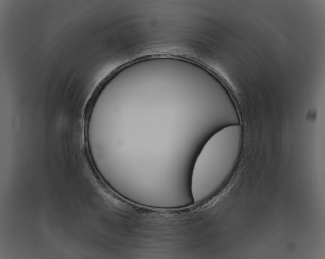 X0000091671079200708231008