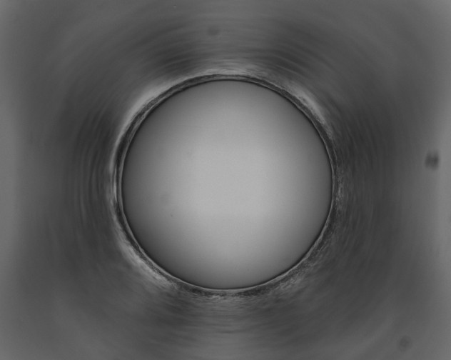 X0000091671080200708231008
