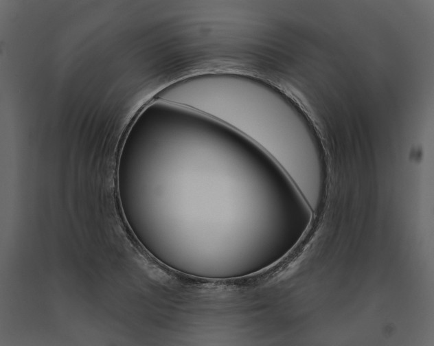 X0000091671081200708231008