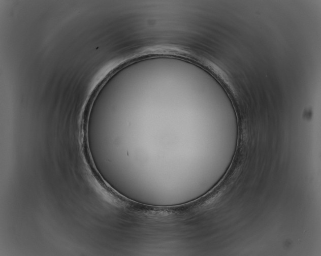 X0000091671082200708231008