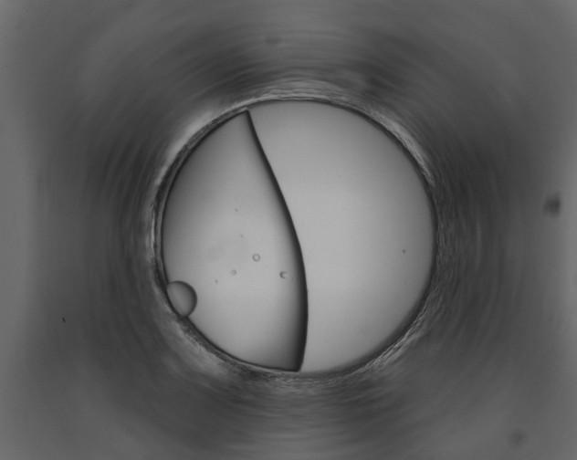 X0000091671083200708231008