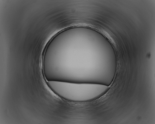 X0000091671084200708231008