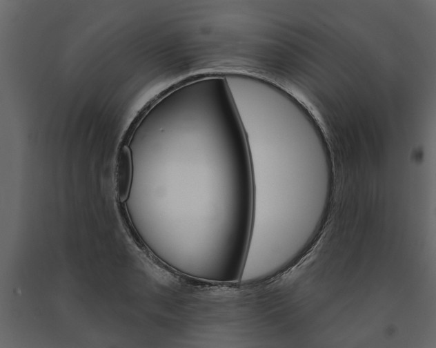 X0000091671085200708231008