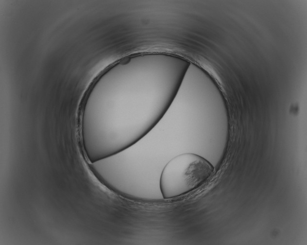 X0000091671087200708231008