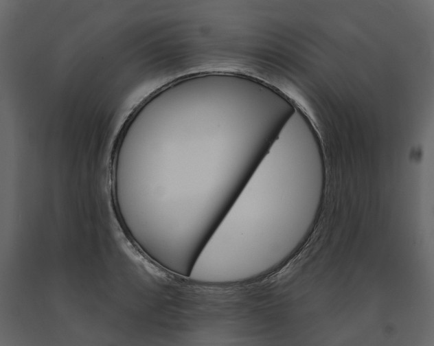 X0000091671088200708231008