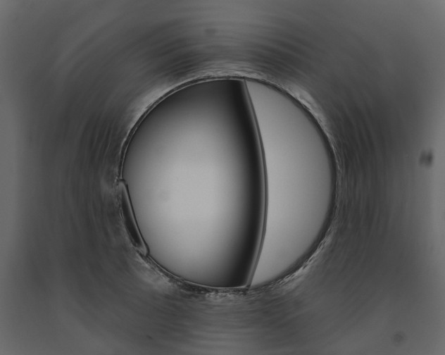 X0000091671089200708231008
