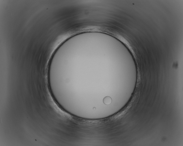 X0000091671090200708231008