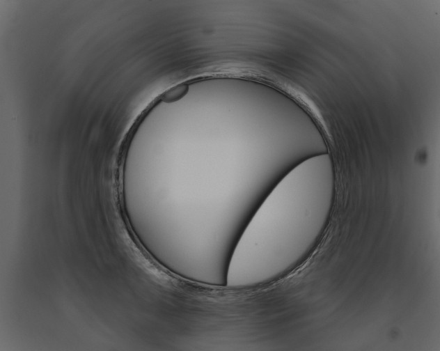 X0000091671091200708231008