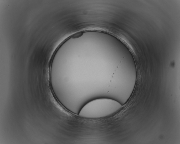 X0000091671092200708231008