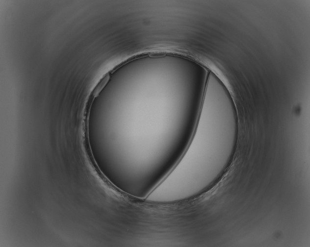 X0000091671093200708231008