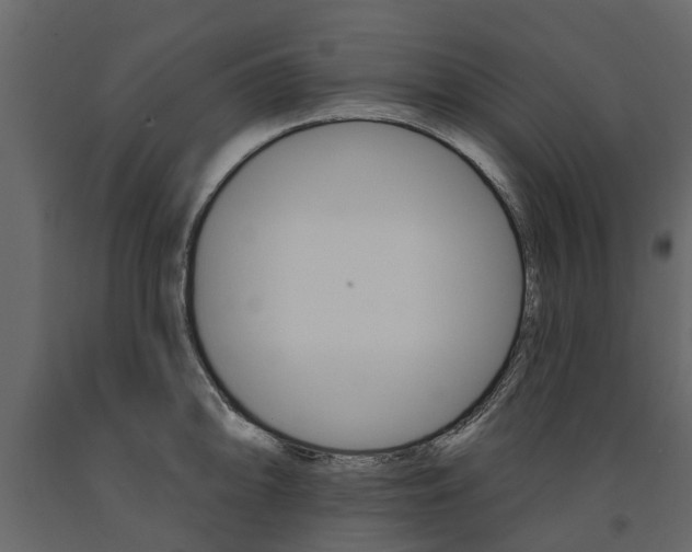 X0000091671094200708231008