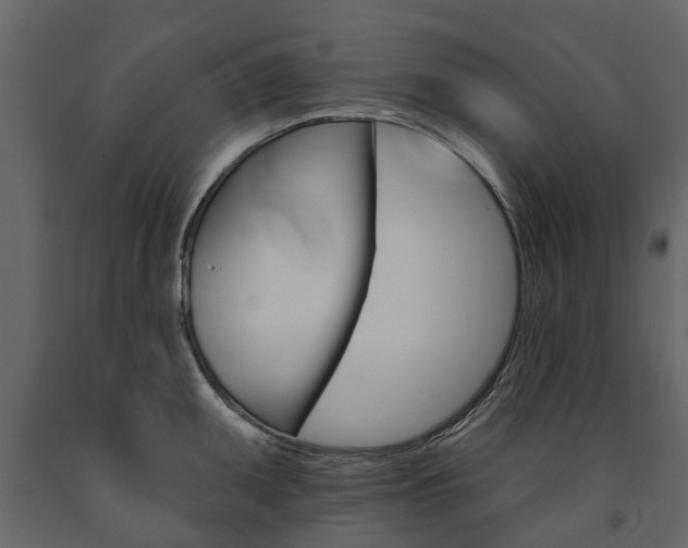 X0000091671095200708231008