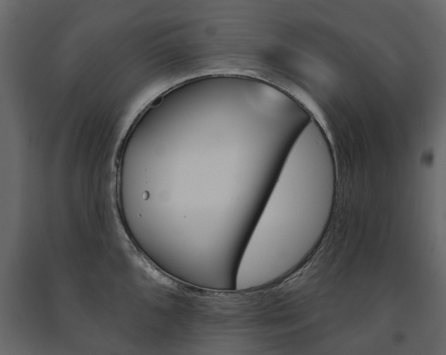 X0000091671096200708231008