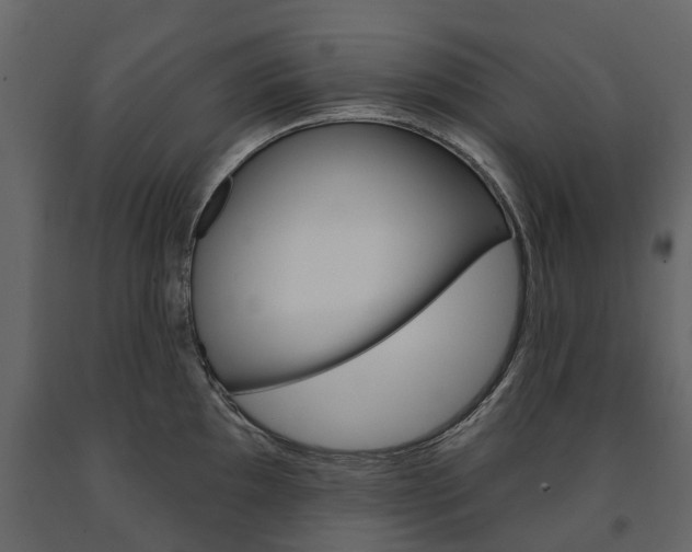 X0000091671097200708231008