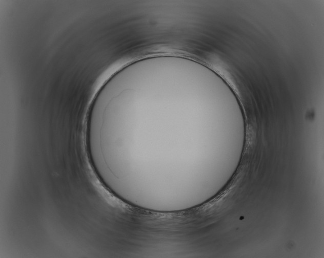 X0000091671098200708231008