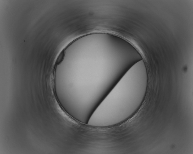 X0000091671100200708231008