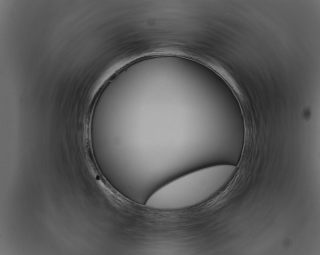 X0000091671101200708231008