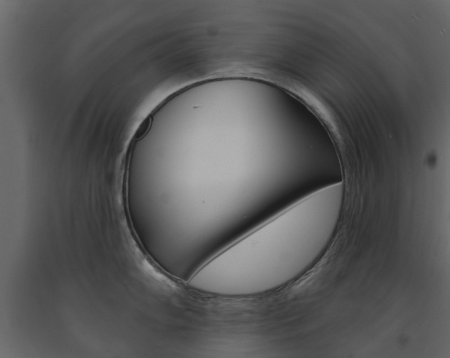 X0000091671102200708231008