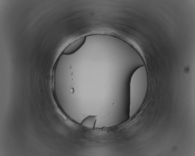 X0000091671103200708231008