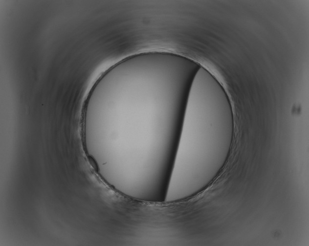 X0000091671104200708231008