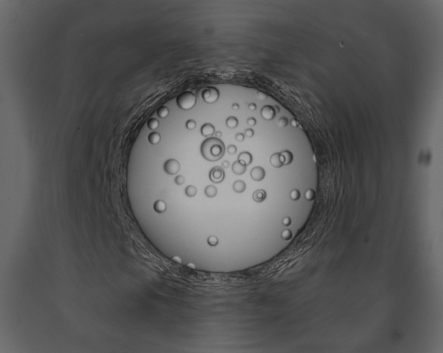 X0000091671105200708231007