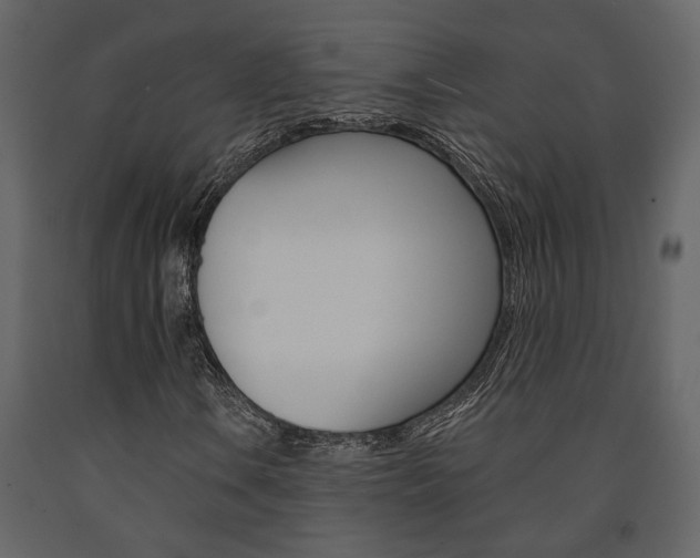 X0000091671106200708231007