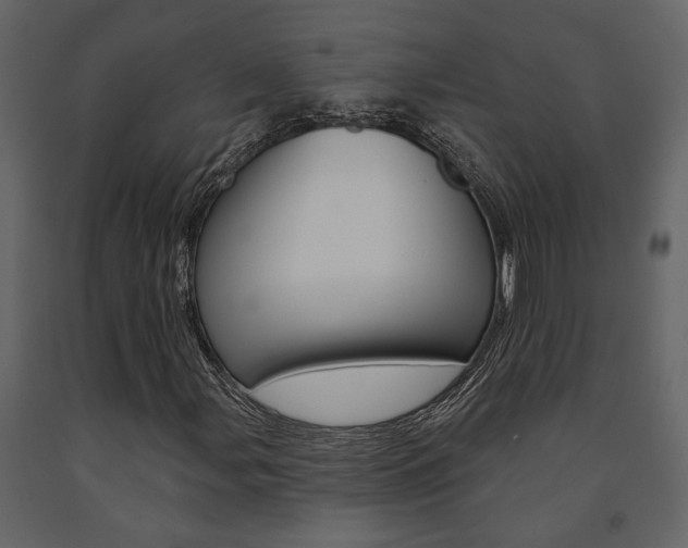 X0000091671107200708231007