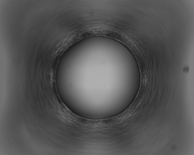 X0000091671108200708231007