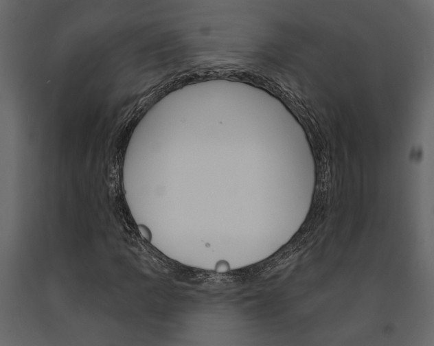 X0000091671109200708231007