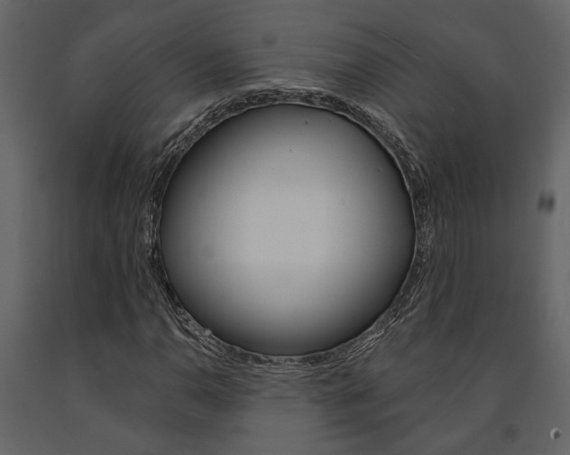 X0000091671110200708231007