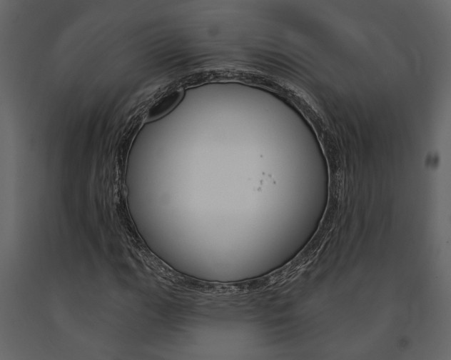 X0000091671111200708231007