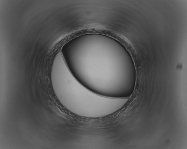 X0000091671112200708231007