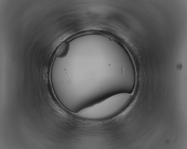 X0000091671113200708231007