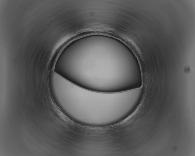X0000091671114200708231007