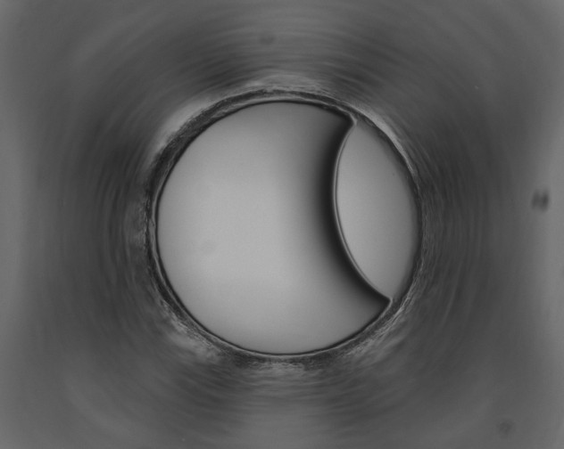X0000091671115200708231007