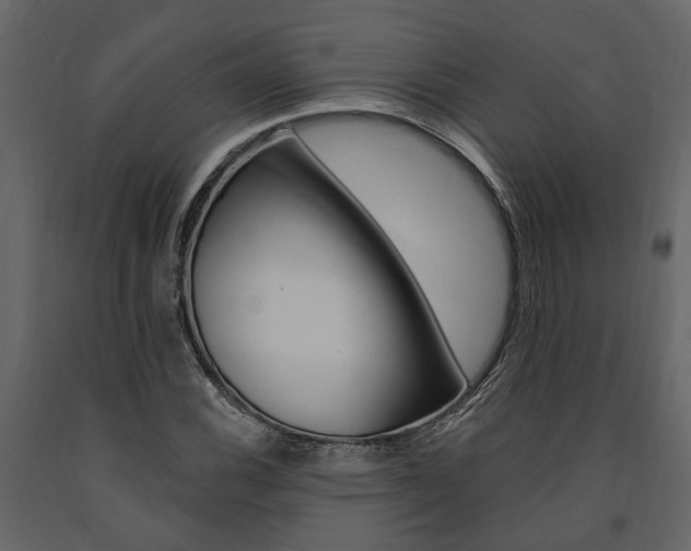 X0000091671116200708231007
