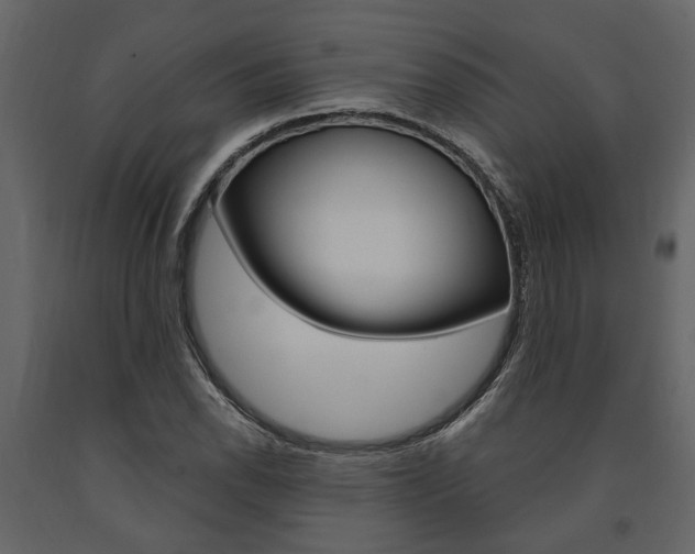 X0000091671118200708231007