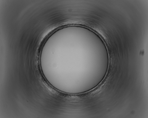 X0000091671119200708231007