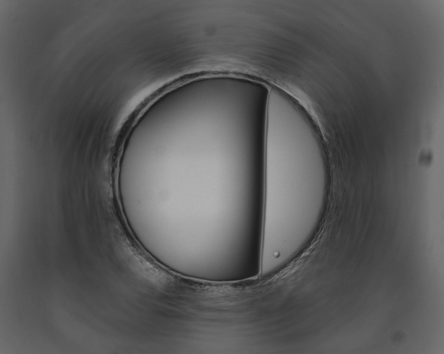 X0000091671120200708231007