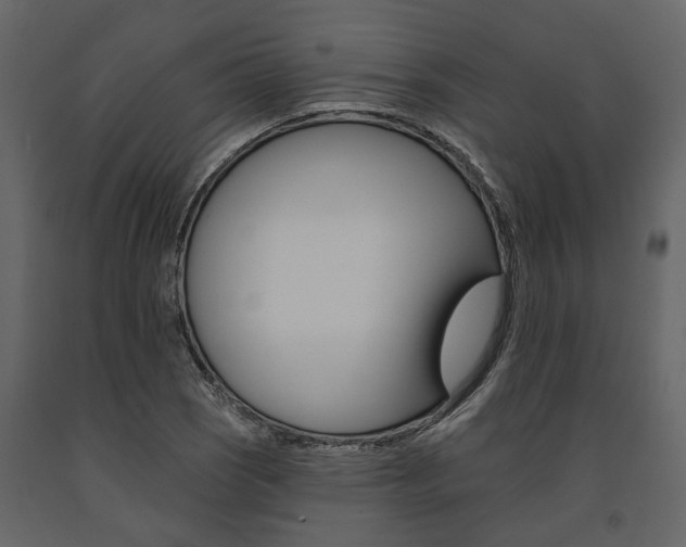 X0000091671121200708231007