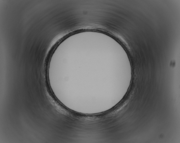 X0000091671122200708231007