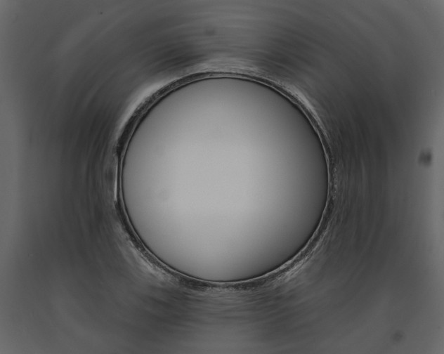 X0000091671123200708231007