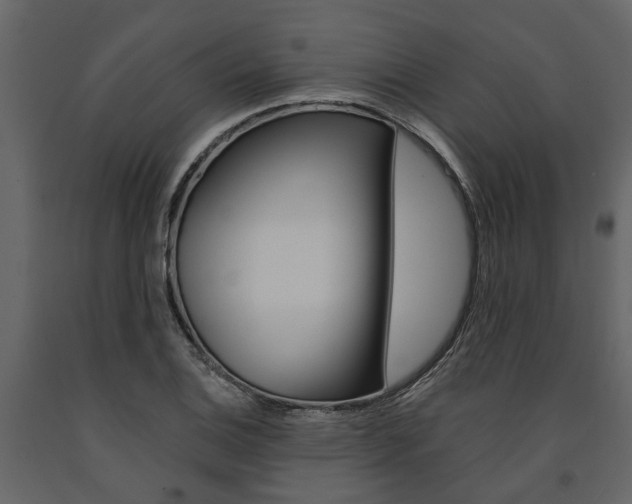 X0000091671124200708231007